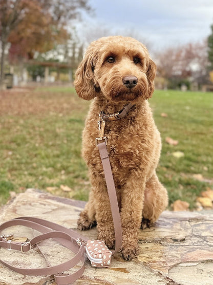 Collier waterproof Cloud pour chien - Espresso - Shop Sunny Tails