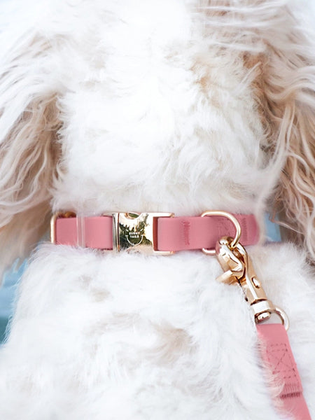 Collier waterproof Cloud pour chien - Rose parfait - Shop Sunny Tails