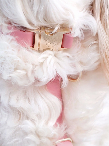 Collier waterproof Cloud pour chien - Rose parfait - Shop Sunny Tails