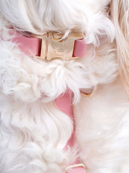 Collier waterproof Cloud pour chien - Rose parfait - Shop Sunny Tails