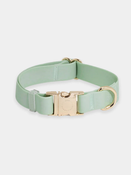 Collier waterproof Cloud pour chien - Pistache - Shop Sunny Tails