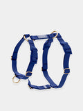Harnais pour chien