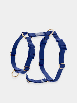 Harnais pour chien