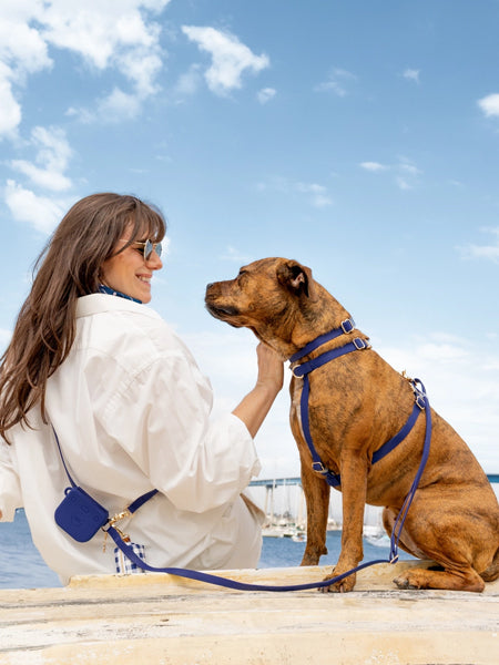 Laisse pour chien multipostions Cloud - Bleu nuit - Shop Sunny Tails