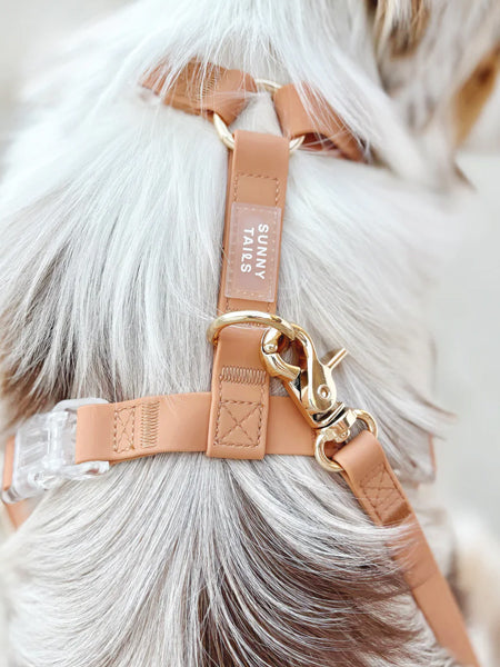 Harnais pour chien Cloud Lite - Chai - Shop Sunny Tails