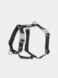Harnais pour chien