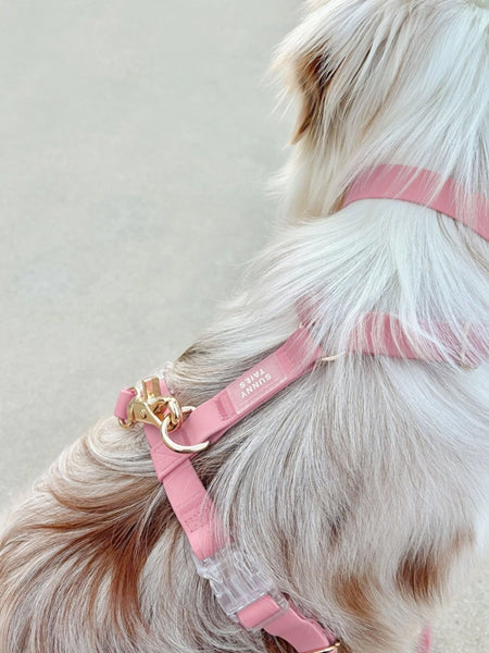 Harnais pour chien Cloud Lite - Rose Parfait - Shop Sunny Tails