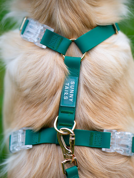 Harnais pour chien Cloud Lite - Vert forêt - Shop Sunny Tails
