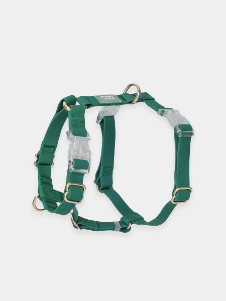 Harnais pour chien Cloud Lite - Vert forêt - Shop Sunny Tails