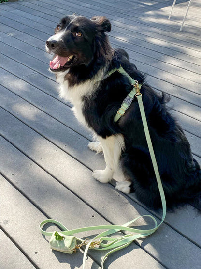 Harnais pour chien Cloud Lite - Pistache - Shop Sunny Tails