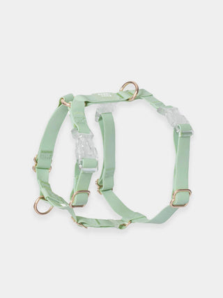 Harnais pour chien