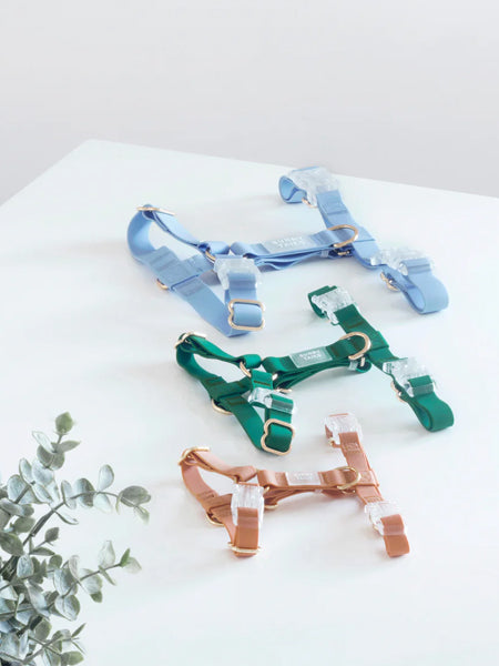 Harnais pour chien Cloud Lite - Bleu pastel - Shop Sunny Tails