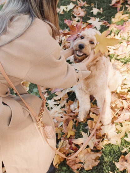 Laisse pour chien multipostions Cloud - Chai - Shop Sunny Tails