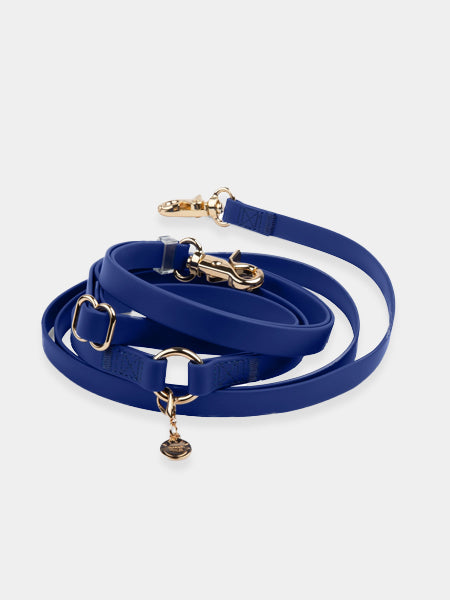 Laisse pour chien multiposition