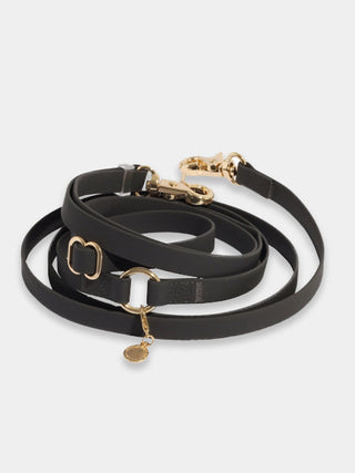 Laisse pour chien multiposition