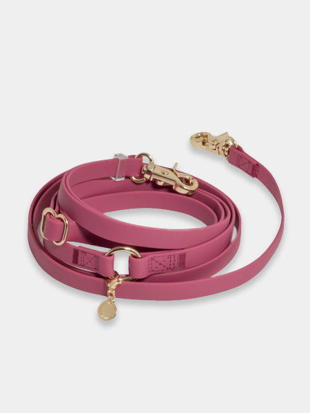 Laisse pour chien multipostions Cloud - Mûre - Shop Sunny Tails