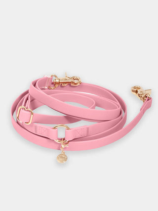 Laisse pour chien multiposition