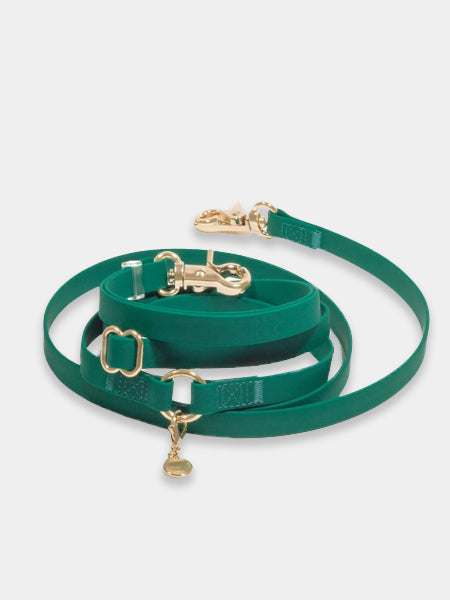 Laisse pour chien multipostions Cloud - Vert forêt - Shop Sunny Tails