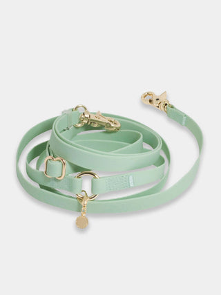 Laisse pour chien multiposition