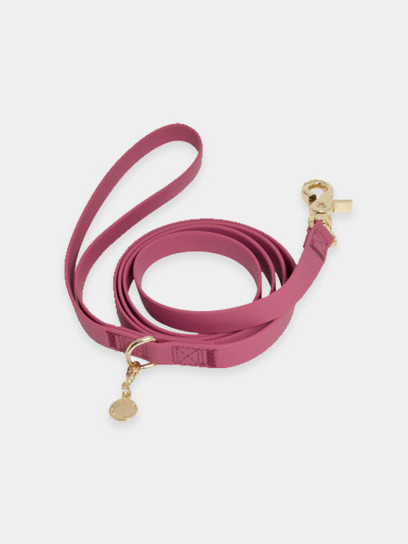 Laisse waterproof Cloud pour chien - Mûre - Shop Sunny Tails