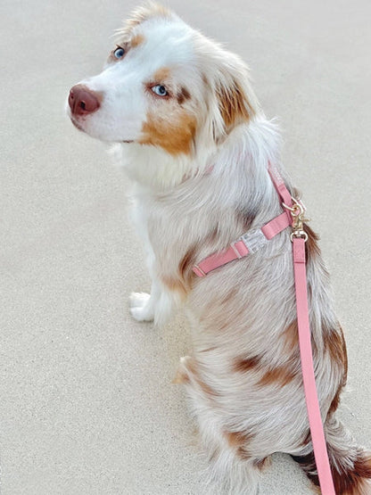 Longe waterproof d'éducation pour chien - Rose parfait - Shop Sunny Tails
