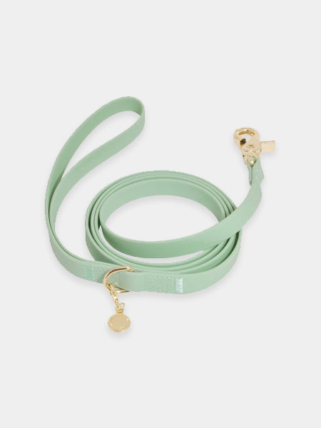 Laisse waterproof Cloud pour chien - Pistache - Shop Sunny Tails