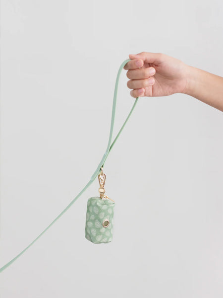 Laisse waterproof Cloud pour chien - Pistache - Shop Sunny Tails