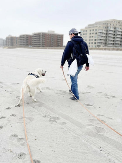 Longe waterproof d'éducation pour chien - Espresso - Shop Sunny Tails