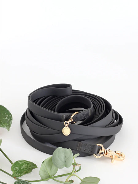 Longe waterproof d'éducation pour chien - Noir - Shop Sunny Tails