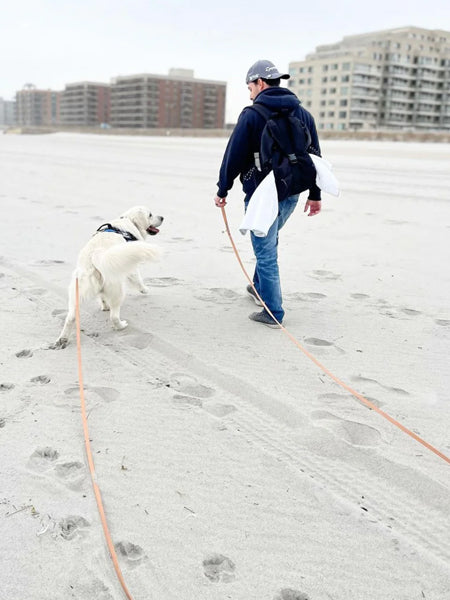 Longe waterproof d'éducation pour chien - Bleu nuit - Shop Sunny Tails
