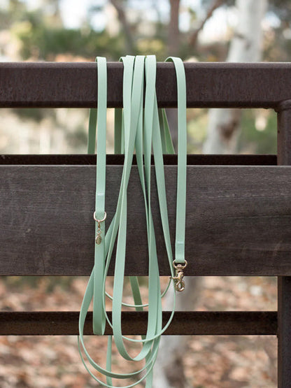 Longe waterproof d'éducation pour chien - Pistache - Shop Sunny Tails