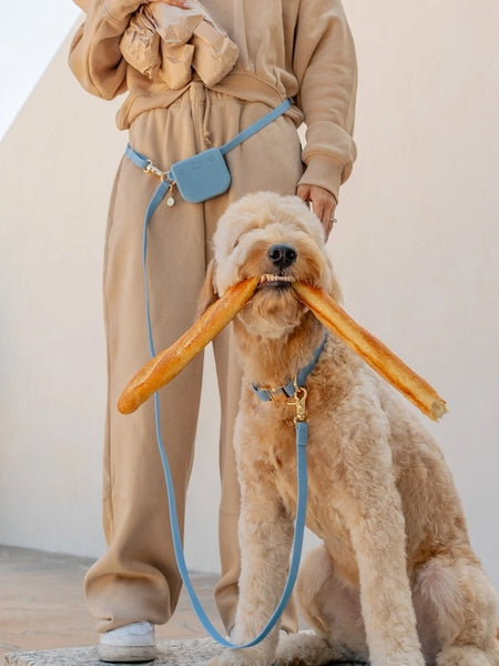 Pochette à friandises pour chien en silicone