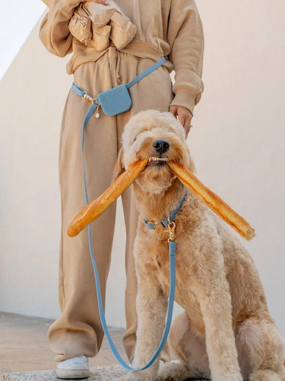 Pochette à friandises pour chien en silicone
