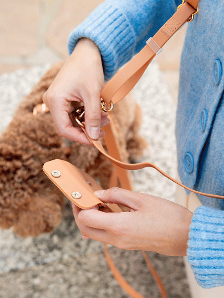 Pochette à friandises pour chien en silicone - Chai - Shop Sunny Tails