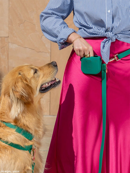 Pochette à friandises pour chien en silicone