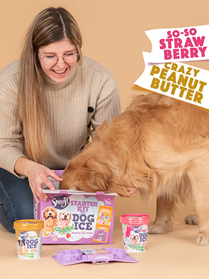 Kit de préparation pour glaces pour chien