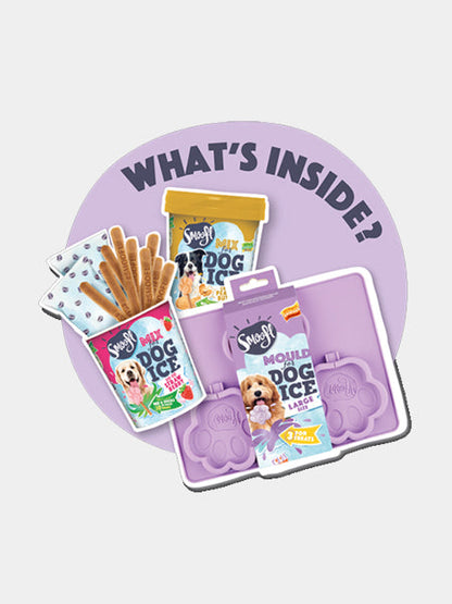 Kit de préparation pour glaces pour chien
