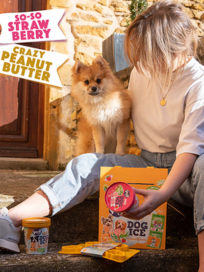 Kit de préparation pour glaces pour chien