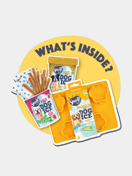 Kit de préparation pour glaces pour chien