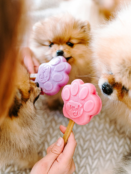 Mélange pour glaces pour chien