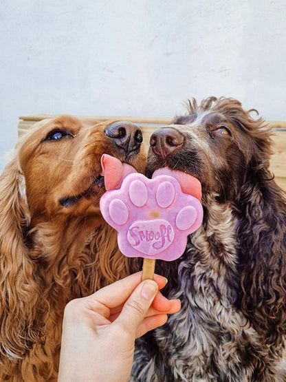 Moule à glaces pour chien