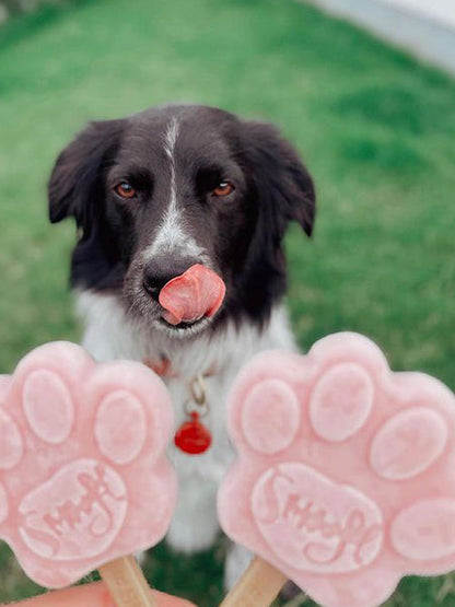 Moule à glaces pour chien