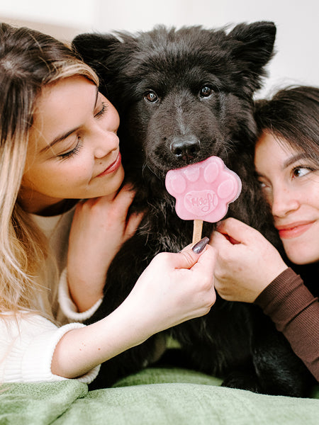Mélange pour glaces pour chien