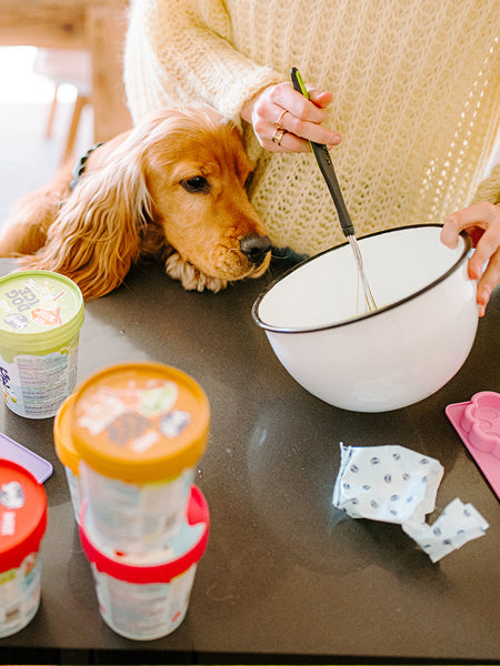Mélange pour glaces pour chien