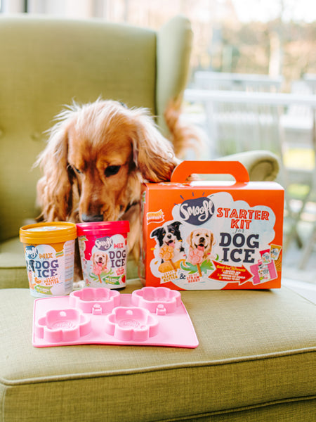 Kit de préparation pour glaces pour chien