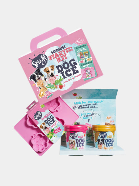 Kit de préparation pour glaces pour chien