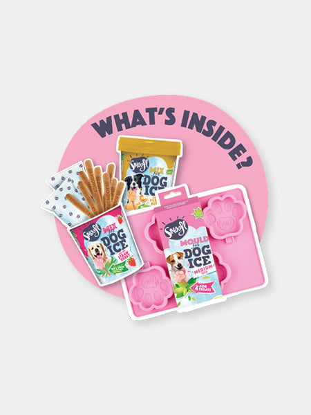Kit de préparation pour glaces pour chien