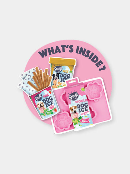 Kit de préparation pour glaces pour chien
