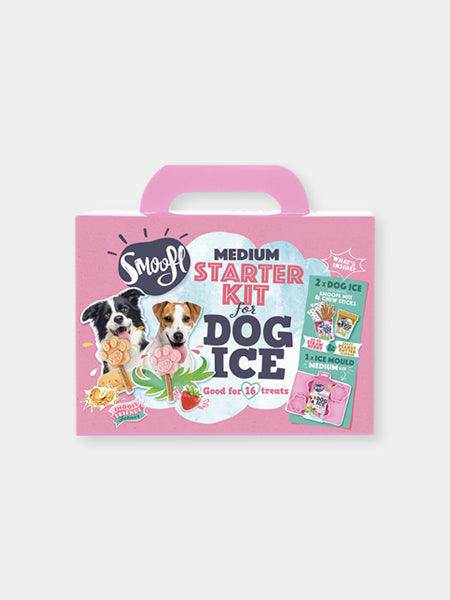 Kit de préparation pour glaces pour chien