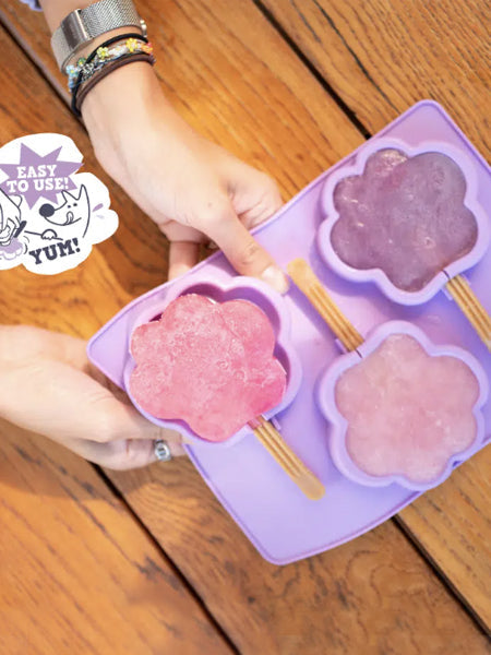 Moule à glaces pour chien - Taille L - Smoofl